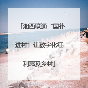 湘西联通“国补进村”让数字化红利惠及乡村