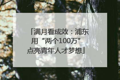 满月看成效：浦东用“两个100万”点亮青年人才梦想
