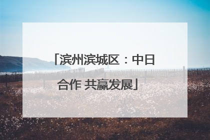 滨州滨城区：中日合作 共赢发展