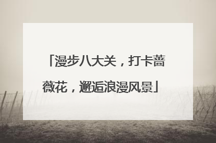 漫步八大关，打卡蔷薇花，邂逅浪漫风景