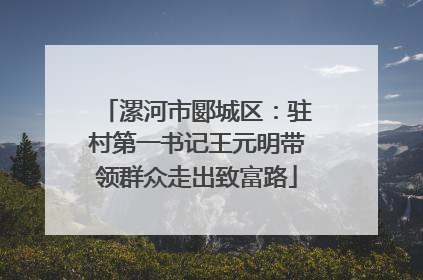 漯河市郾城区：驻村第一书记王元明带领群众走出致富路