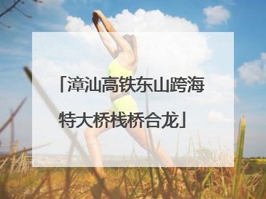 漳汕高铁东山跨海特大桥栈桥合龙