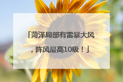 菏泽局部有雷暴大风，阵风最高10级！