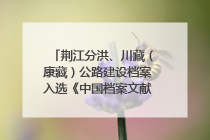 荆江分洪、川藏（康藏）公路建设档案入选《中国档案文献遗产名录》