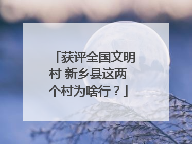 获评全国文明村 新乡县这两个村为啥行？