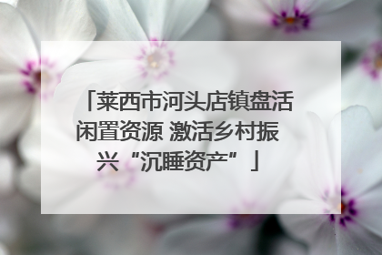 莱西市河头店镇盘活闲置资源 激活乡村振兴“沉睡资产”