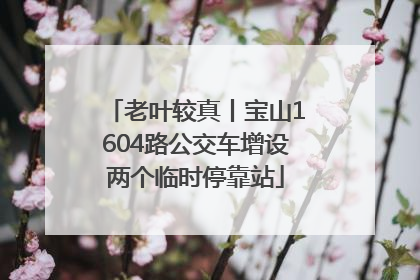 老叶较真丨宝山1604路公交车增设两个临时停靠站