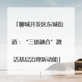 聊城开发区东城街道：“三链融合”激活基层治理新动能