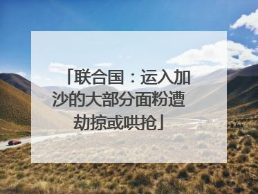 联合国：运入加沙的大部分面粉遭劫掠或哄抢