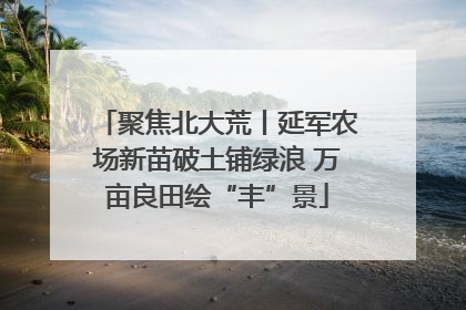 聚焦北大荒丨延军农场新苗破土铺绿浪 万亩良田绘“丰”景