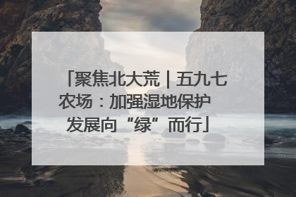聚焦北大荒｜五九七农场：加强湿地保护 发展向“绿”而行