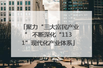 聚力“三大富民产业” 不断深化“1131”现代化产业体系