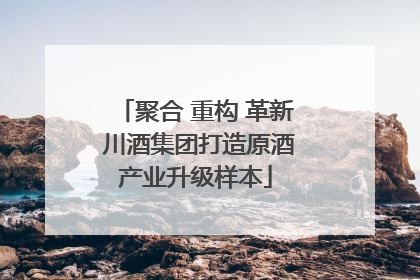 聚合 重构 革新 川酒集团打造原酒产业升级样本