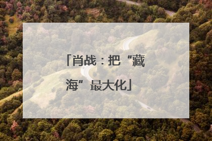 肖战：把“藏海”最大化