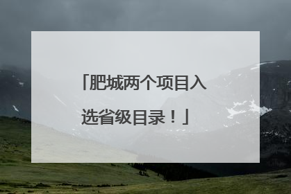 肥城两个项目入选省级目录！