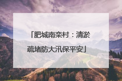肥城南栾村：清淤疏堵防大汛保平安