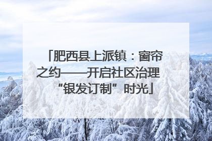 肥西县上派镇：窗帘之约——开启社区治理“银发订制”时光