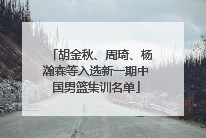 胡金秋、周琦、杨瀚森等入选新一期中国男篮集训名单