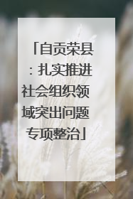 自贡荣县：扎实推进社会组织领域突出问题专项整治