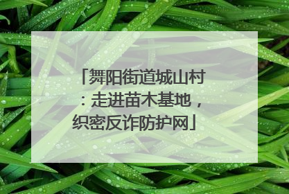 舞阳街道城山村：走进苗木基地，织密反诈防护网