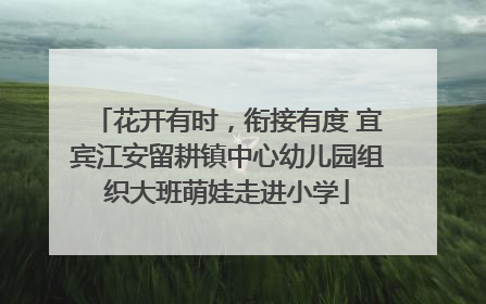 花开有时，衔接有度 宜宾江安留耕镇中心幼儿园组织大班萌娃走进小学