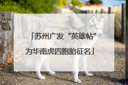 苏州广发“英雄帖”为华南虎四胞胎征名
