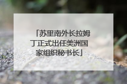 苏里南外长拉姆丁正式出任美洲国家组织秘书长