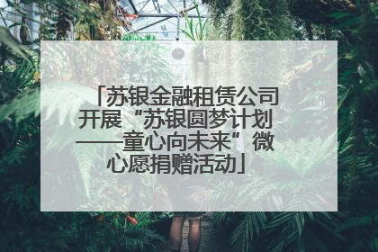 苏银金融租赁公司开展“苏银圆梦计划——童心向未来”微心愿捐赠活动