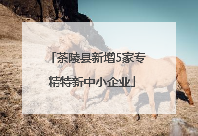 茶陵县新增5家专精特新中小企业