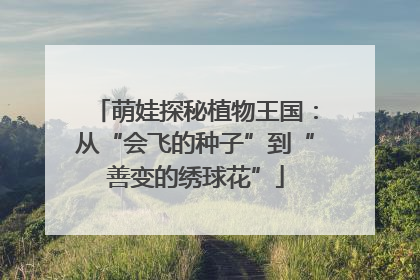 萌娃探秘植物王国：从“会飞的种子”到“善变的绣球花”