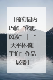 葡萄园内巧解“化肥风波”｜“天平杯·随手拍”作品展播