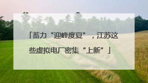 蓄力“迎峰度夏”，江苏这些虚拟电厂密集“上新”