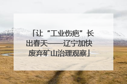 让“工业伤疤”长出春天——辽宁加快废弃矿山治理观察