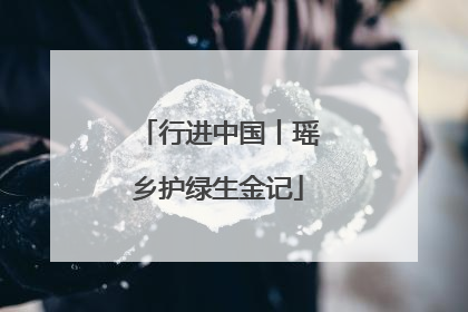行进中国丨瑶乡护绿生金记