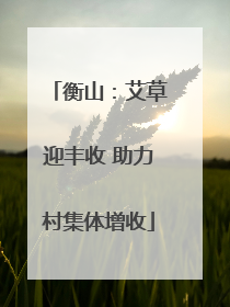 衡山：艾草迎丰收 助力村集体增收