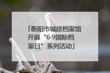 衡阳市城建档案馆开展“6·9国际档案日”系列活动
