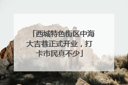 西城特色街区中海大吉巷正式开业，打卡市民真不少
