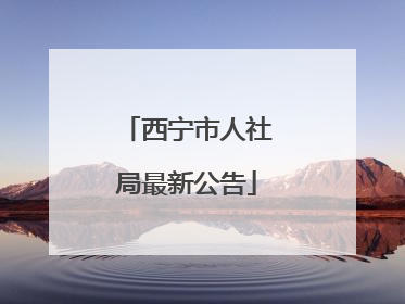 西宁市人社局最新公告