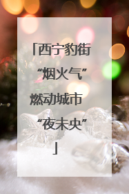 西宁豹街“烟火气” 燃动城市“夜未央”