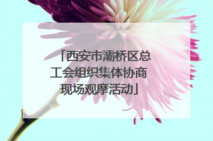 西安市灞桥区总工会组织集体协商现场观摩活动