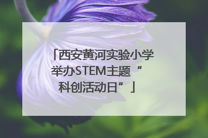 西安黄河实验小学举办STEM主题“科创活动日”