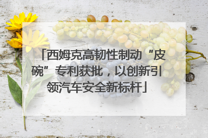 西姆克高韧性制动“皮碗”专利获批，以创新引领汽车安全新标杆