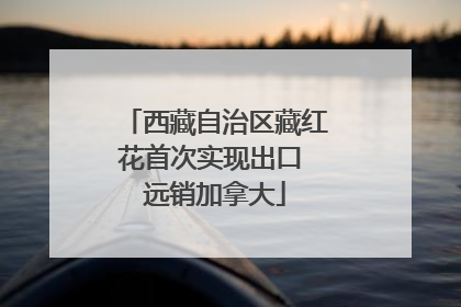 西藏自治区藏红花首次实现出口 远销加拿大