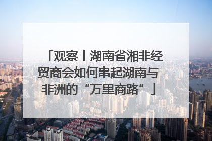 观察丨湖南省湘非经贸商会如何串起湖南与非洲的“万里商路”