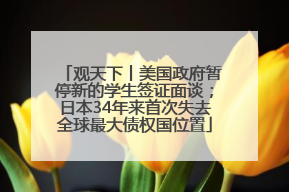 观天下丨美国政府暂停新的学生签证面谈；日本34年来首次失去全球最大债权国位置