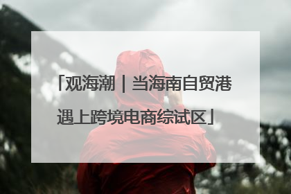 观海潮｜当海南自贸港遇上跨境电商综试区