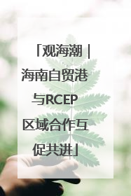 观海潮｜海南自贸港与RCEP区域合作互促共进