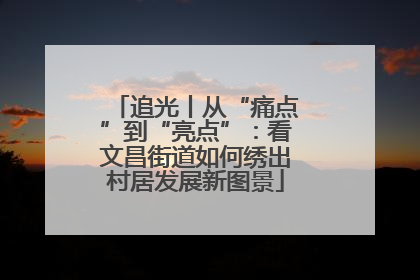 追光丨从“痛点”到“亮点”：看文昌街道如何绣出村居发展新图景