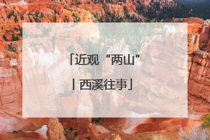 近观“两山”丨西溪往事