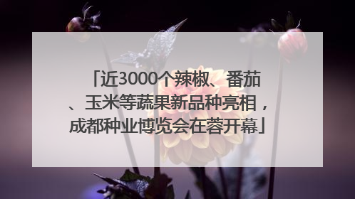 近3000个辣椒、番茄、玉米等蔬果新品种亮相，成都种业博览会在蓉开幕